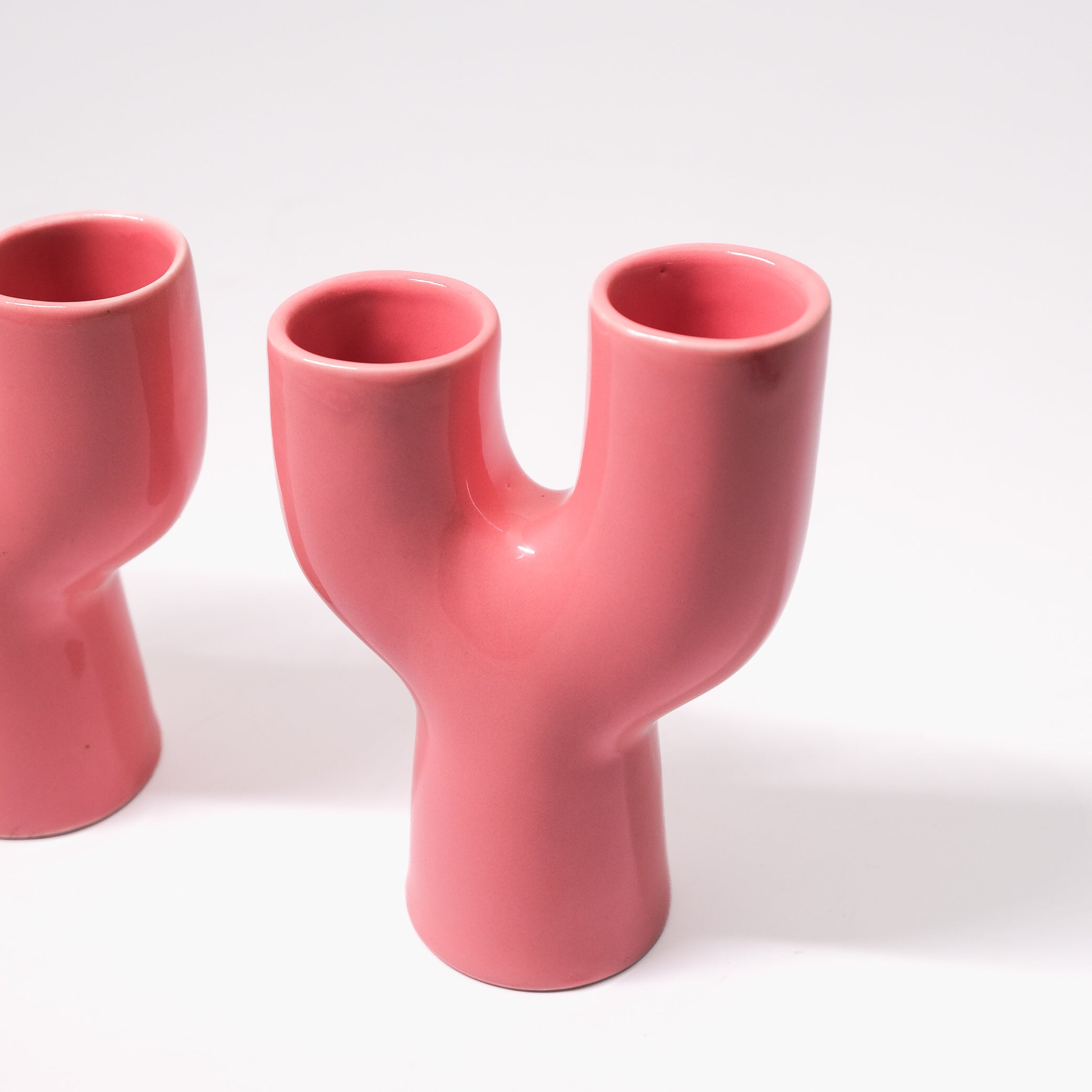 Y Cactus shaped Vase