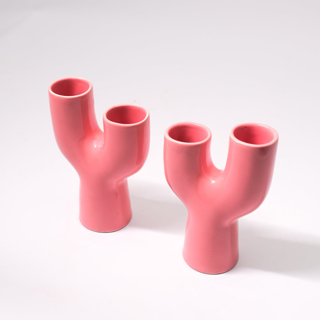 Y Cactus shaped Vase