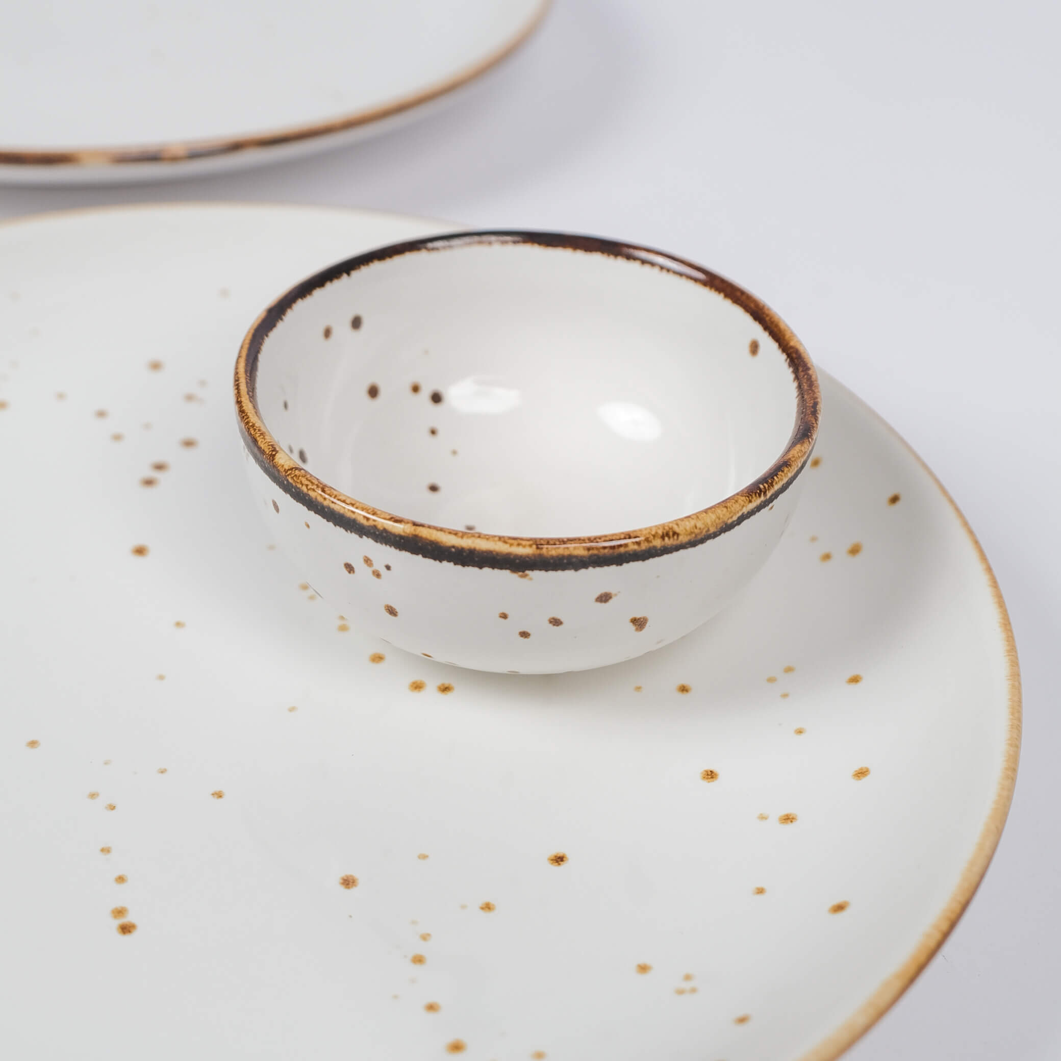 Golden flecks Dinner Set (4 piece) | 2 Plates & 2 Dal bowls