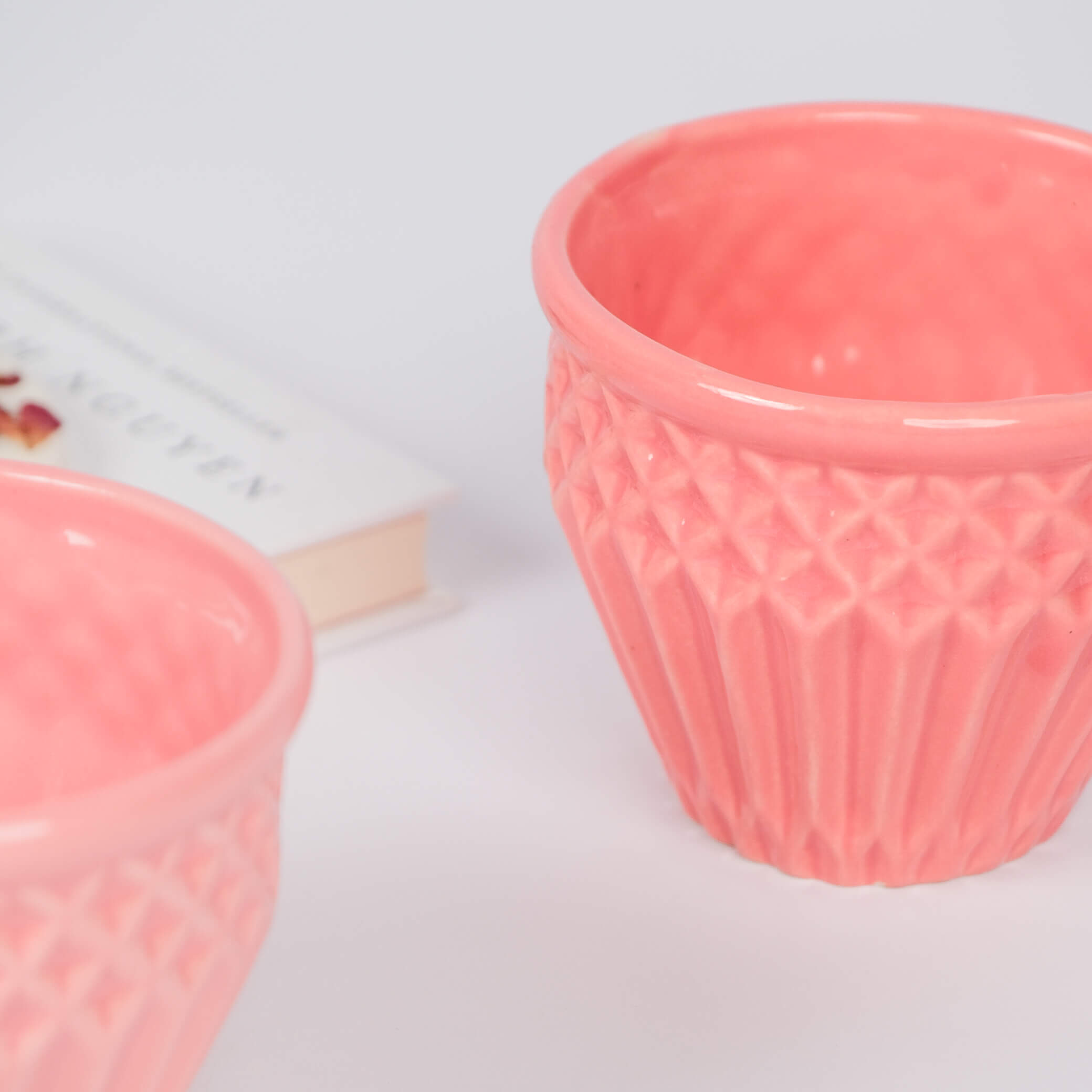 Sugarcloud Bowls (Set of 2)