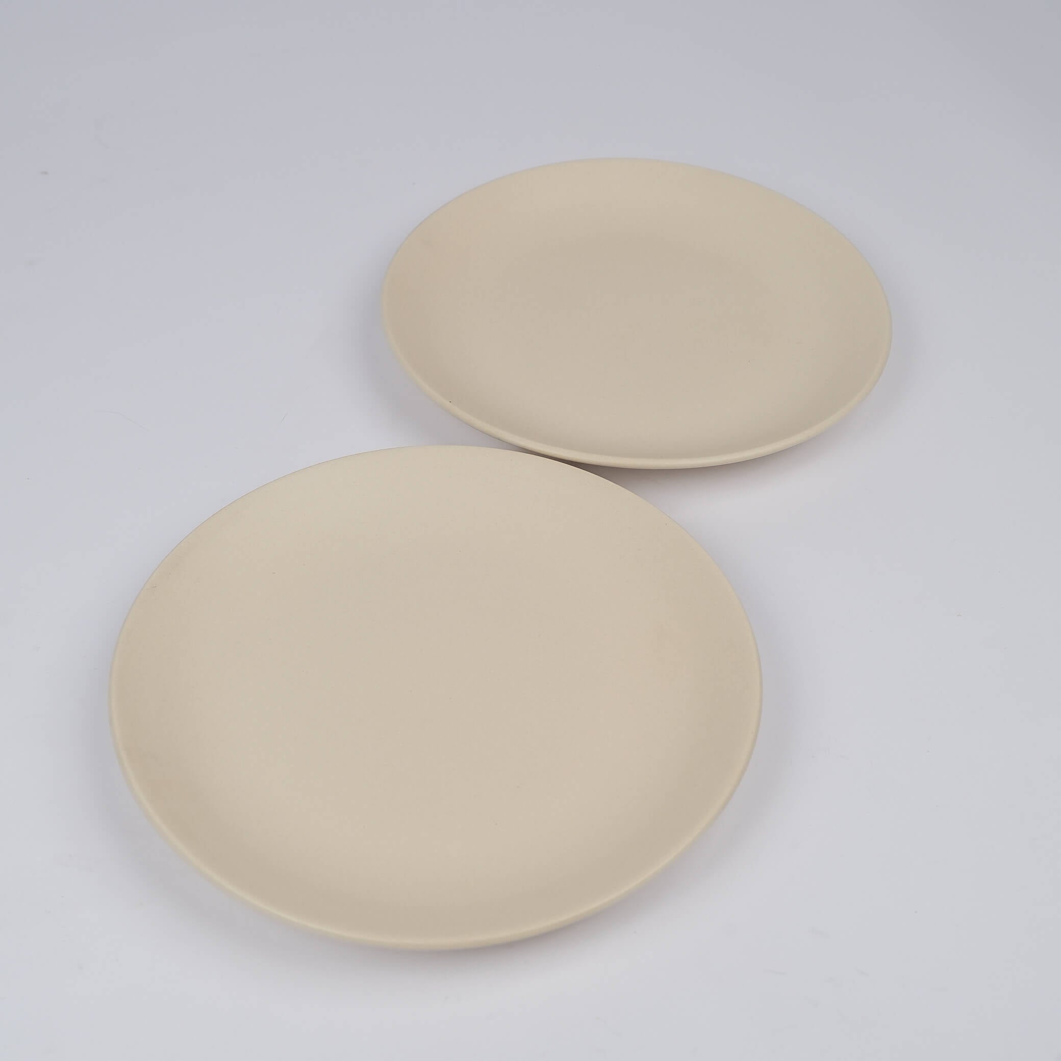 Timeless White Dinner Plates (Set of 2)