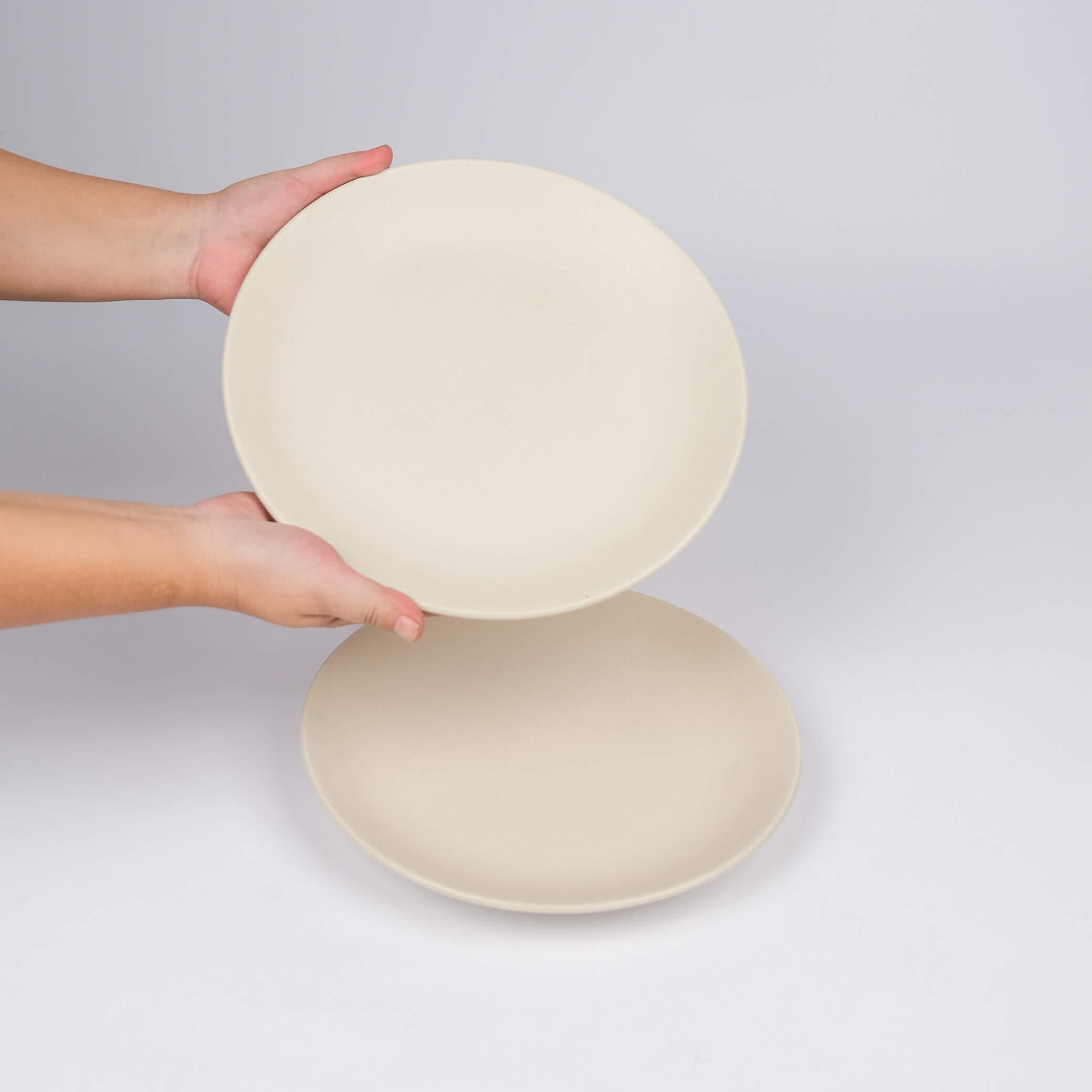 Timeless White Dinner Plates (Set of 2)